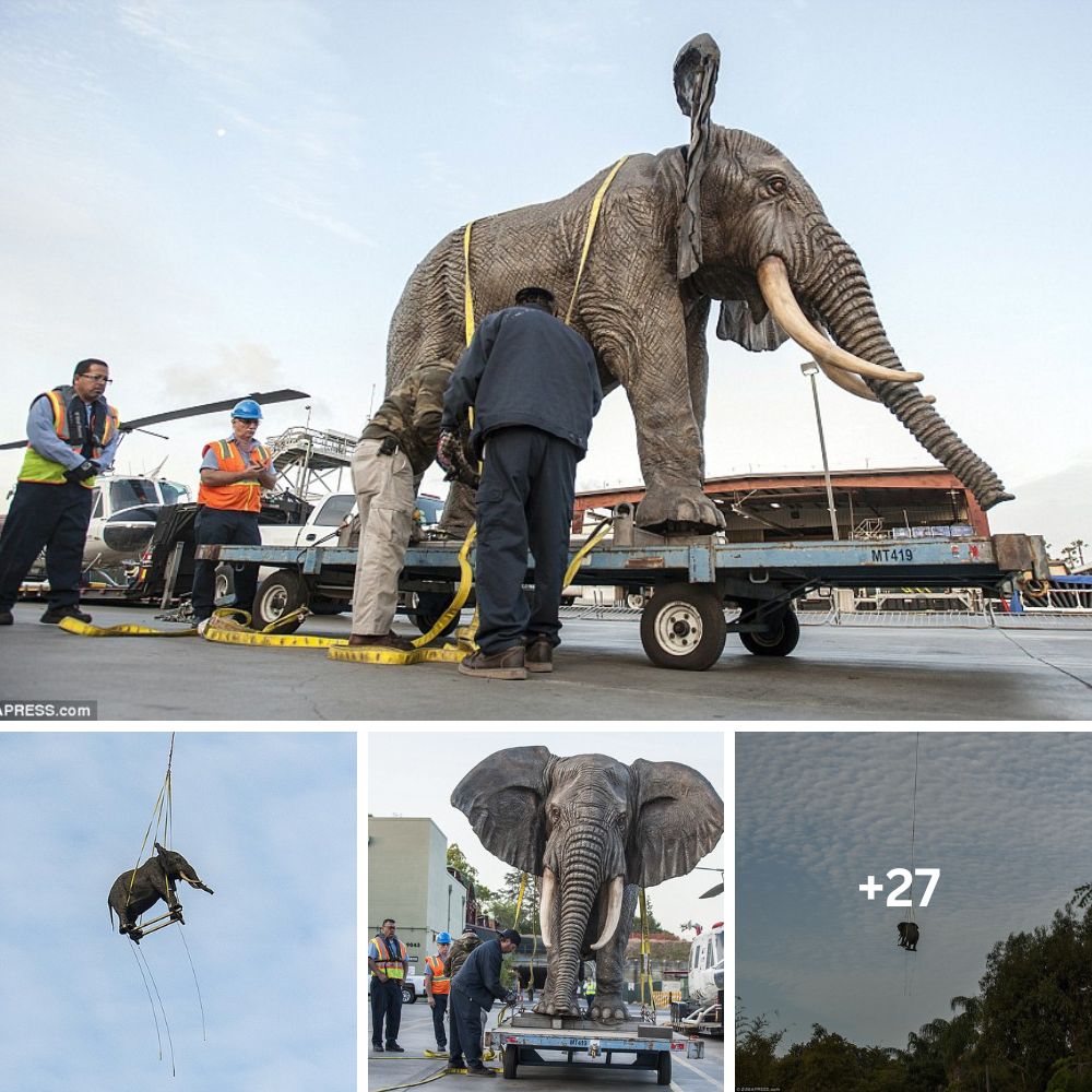 Giant Elephant Takes to the Sky: The Surprise That Left Many in Awe